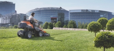 jakiej zieleni potrzebują Polacy? 