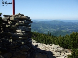 widoki z góry